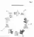 Fig. 02 - ART INFUSED FILMS AND METHODS FOR MAKING THE SAME