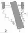 Fig. 05 - Expanding bellows for sealing an annular gap