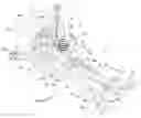 Fig. 01 - Suspension subframe structure of vehicle