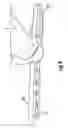 Fig. 07 - WHEEL WEIGHT
