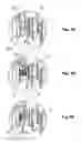 Fig. 06 - Movable contact holder of electrical apparatus and assembling method of the movable contact holder