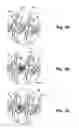 Fig. 08 - Movable contact holder of electrical apparatus and assembling method of the movable contact holder