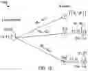 Fig. 09 - Efficient Quality of Service (QoS) Scheduling in OFDMA Wireless Networks