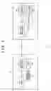 Fig. 02 - Receiving apparatus, receiving method, recording apparatus, recording method, program, recording medium, and network system