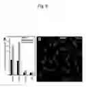 Fig. 07 - Methods and compositions related to internalizing RGD peptides