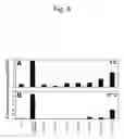 Fig. 09 - Methods and compositions related to internalizing RGD peptides