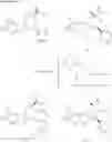 Fig. 12 - INDOLOPYRIDINES AS EG5 KINESIN MODULATORS