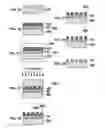 Fig. 08 - METHOD FOR MANUFACTURING MAGNETIC RECORDING MEDIUM
