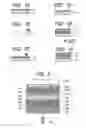 Fig. 02 - METHOD OF PRODUCING MULTILAYER OPTICAL RECORDING MEDIUM, STAMPER FOR PRODUCING MULTILAYER OPTICAL RECORDING MEDIUM, AND METHOD THEREFOR