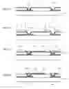 Fig. 06 - PLATING METHOD AND METHOD OF FORMING MAGNETIC POLE