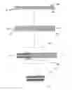 Fig. 01 - Fiber reinforced composite post