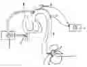Fig. 01 - SIMULATOR FOR MAJOR SURGICAL OPERATIONS