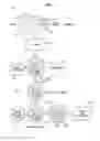 Fig. 08 - APPARATUS AND METHOD FOR DETECTING MICROSCOPIC LIVING ORGANISMS USING BACTERIOPHAGE