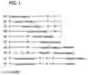 Fig. 02 - NUCLEIC ACID TERMINATORS INCORPORATING A CATIONIC MOIETY AND METHODS FOR THEIR USE