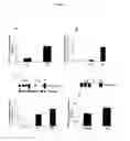 Fig. 03 - DIAGNOSTIC COMPOSITIONS AND TREATMENT METHODS FOR CONDITIONS INVOLVING TROPHOBLAST CELL DEATH, DIFFERENTIATION, INVASION AND/OR CELL FUSION AND TURNOVER