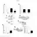 Fig. 12 - DIAGNOSTIC COMPOSITIONS AND TREATMENT METHODS FOR CONDITIONS INVOLVING TROPHOBLAST CELL DEATH, DIFFERENTIATION, INVASION AND/OR CELL FUSION AND TURNOVER