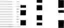 Fig. 245 - Chromosomal Blocks as Markers for Traits