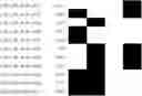 Fig. 364 - Chromosomal Blocks as Markers for Traits