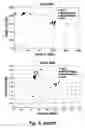 Fig. 06 - Allelic discrimination analysis using an efficiency related value (EFR)
