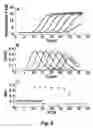 Fig. 09 - Allelic discrimination analysis using an efficiency related value (EFR)