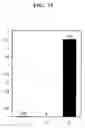 Fig. 12 - Method of analyzing methylated DNA