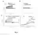 Fig. 03 - NOVEL RAT VOLTAGE-GATED POTASSIUM CHANNEL