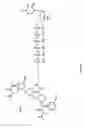 Fig. 04 - Engineered fluorescent dye labeled nucleotide analogs for DNA sequencing