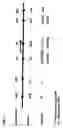 Fig. 12 - Methods for detecting nucleic acid sequence variations