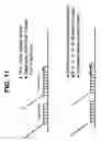 Fig. 16 - Methods for detecting nucleic acid sequence variations