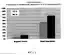 Fig. 13 - Isolation and enumeration of cells from a complex sample matrix