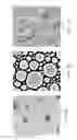 Fig. 04 - DIRECTED EVOLUTION METHOD