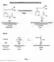 Fig. 03 - PROCESS FOR THE PREPARATION OF ZALEPLON AND AN INTERMEDIATE THEREOF