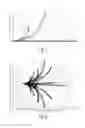 Fig. 02 - Active cannula configuration for minimally invasive surgery