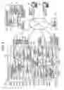Fig. 03 - Contents Data, and Program, Apparatus and Method for Detecting and Controlling Unauthorized Contents