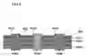 Fig. 09 - Semiconductor device