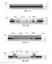 Fig. 06 - Template having alignment marks formed of contrast material
