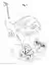 Fig. 02 - Dolly assembly