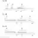 Fig. 09 - TFT substrate having multiple pixels, liquid crystal display device using the TFT substrate, and method for manufacturing the TFT substrate
