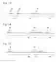 Fig. 11 - TFT substrate having multiple pixels, liquid crystal display device using the TFT substrate, and method for manufacturing the TFT substrate
