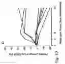 Fig. 05 - IMMUNOMODULATION FOR AUTOIMMUNE TYPE-2 DIABETES