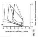 Fig. 06 - IMMUNOMODULATION FOR AUTOIMMUNE TYPE-2 DIABETES