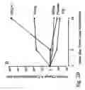 Fig. 08 - IMMUNOMODULATION FOR AUTOIMMUNE TYPE-2 DIABETES