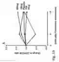Fig. 10 - IMMUNOMODULATION FOR AUTOIMMUNE TYPE-2 DIABETES