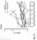 Fig. 14 - IMMUNOMODULATION FOR AUTOIMMUNE TYPE-2 DIABETES