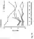 Fig. 15 - IMMUNOMODULATION FOR AUTOIMMUNE TYPE-2 DIABETES
