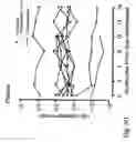 Fig. 20 - IMMUNOMODULATION FOR AUTOIMMUNE TYPE-2 DIABETES