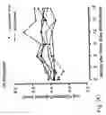 Fig. 28 - IMMUNOMODULATION FOR AUTOIMMUNE TYPE-2 DIABETES