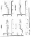 Fig. 31 - IMMUNOMODULATION FOR AUTOIMMUNE TYPE-2 DIABETES
