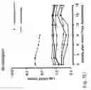 Fig. 34 - IMMUNOMODULATION FOR AUTOIMMUNE TYPE-2 DIABETES
