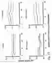 Fig. 37 - IMMUNOMODULATION FOR AUTOIMMUNE TYPE-2 DIABETES